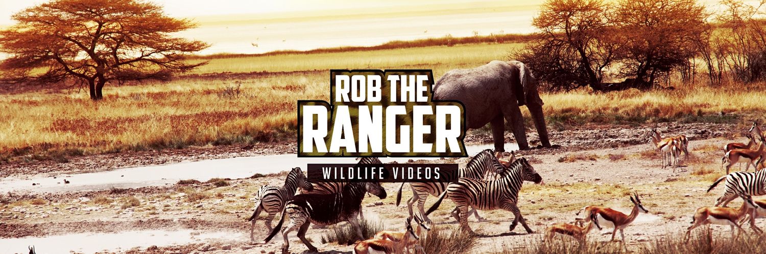 Robtheranger's profile banner image