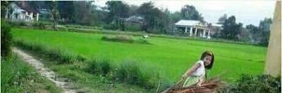 upgalerasant99's profile banner image