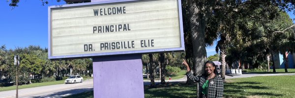 PelieTWE Profile Banner
