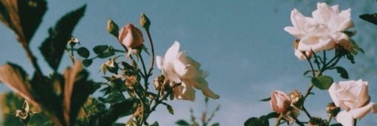 Mego_brick_'s profile banner image