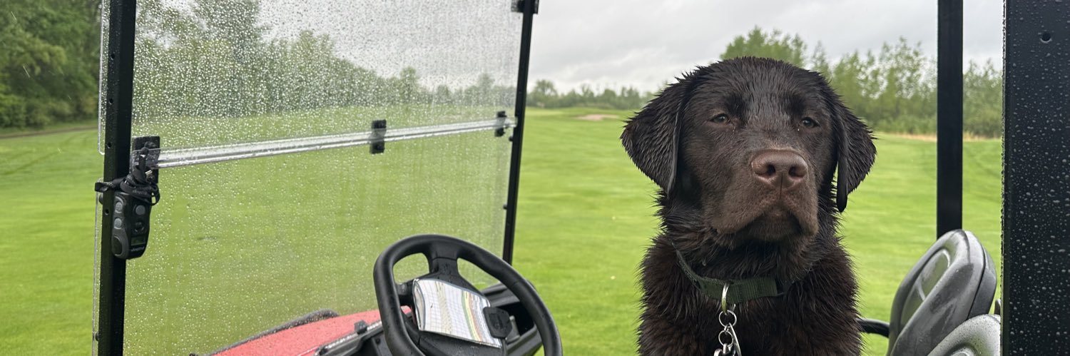 Keegan Larson banner