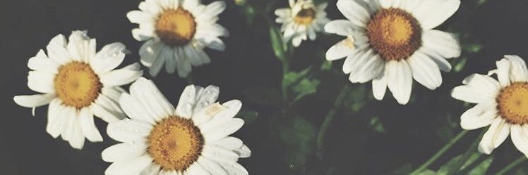 jilldzuka's profile banner image