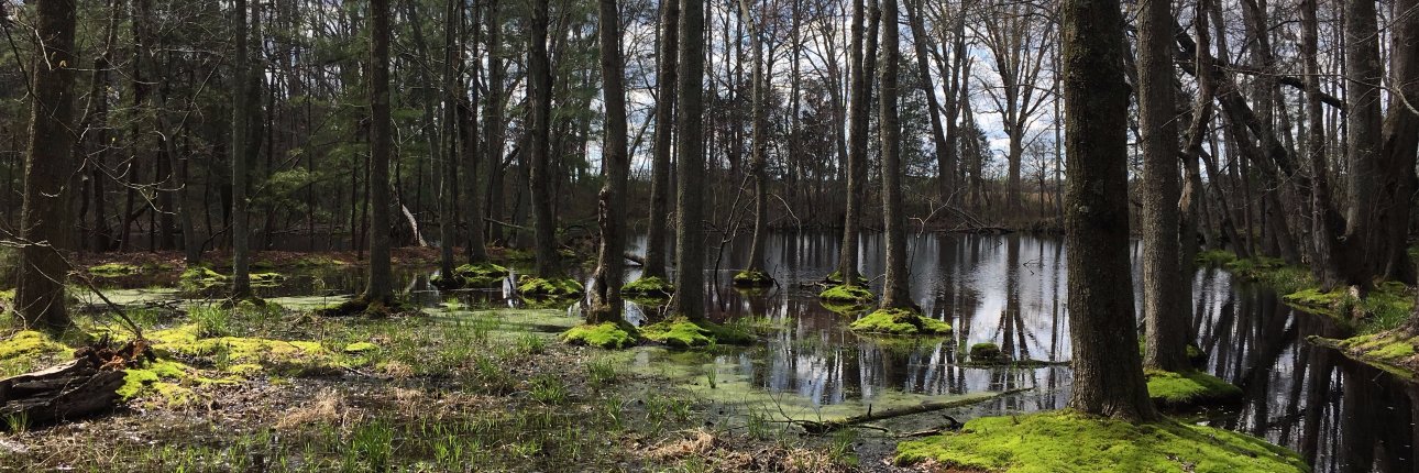 John Crawford banner