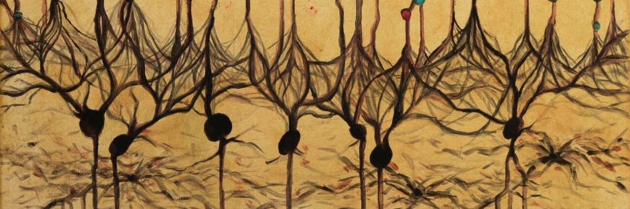 Alex Guet-McCreight banner