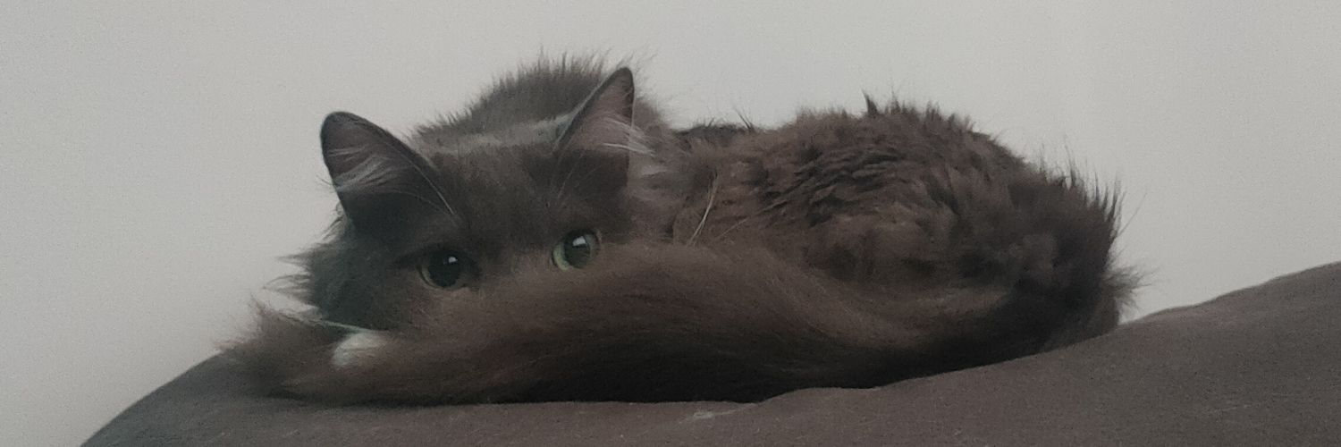 EliEEG's profile banner image