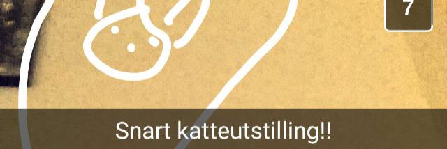 JPHakefjell's profile banner image