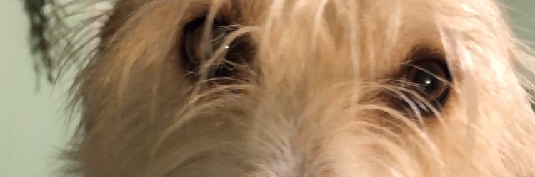 MunchkinLord's profile banner image