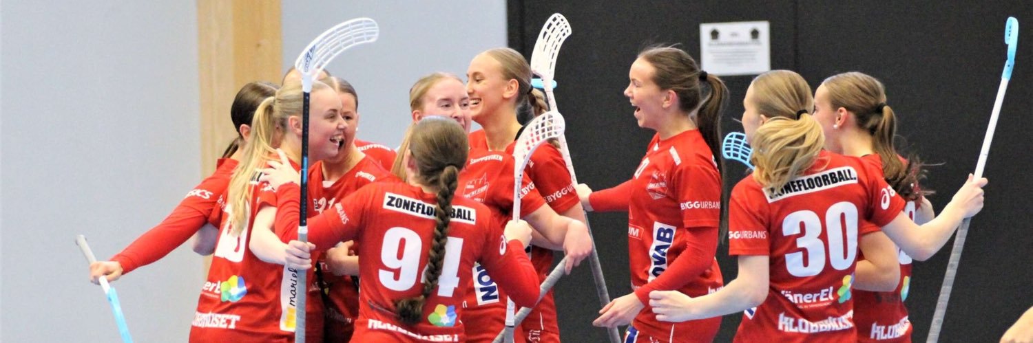 IBK Lockerud Dam banner