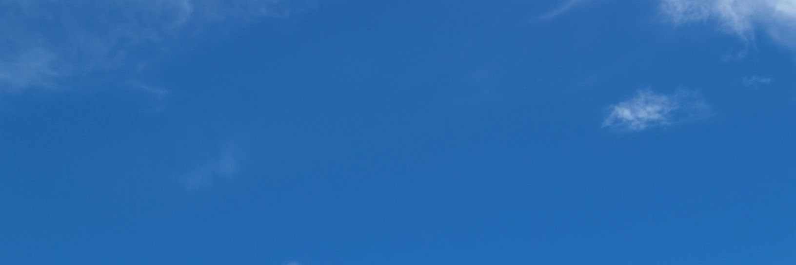 Muscle Owl banner
