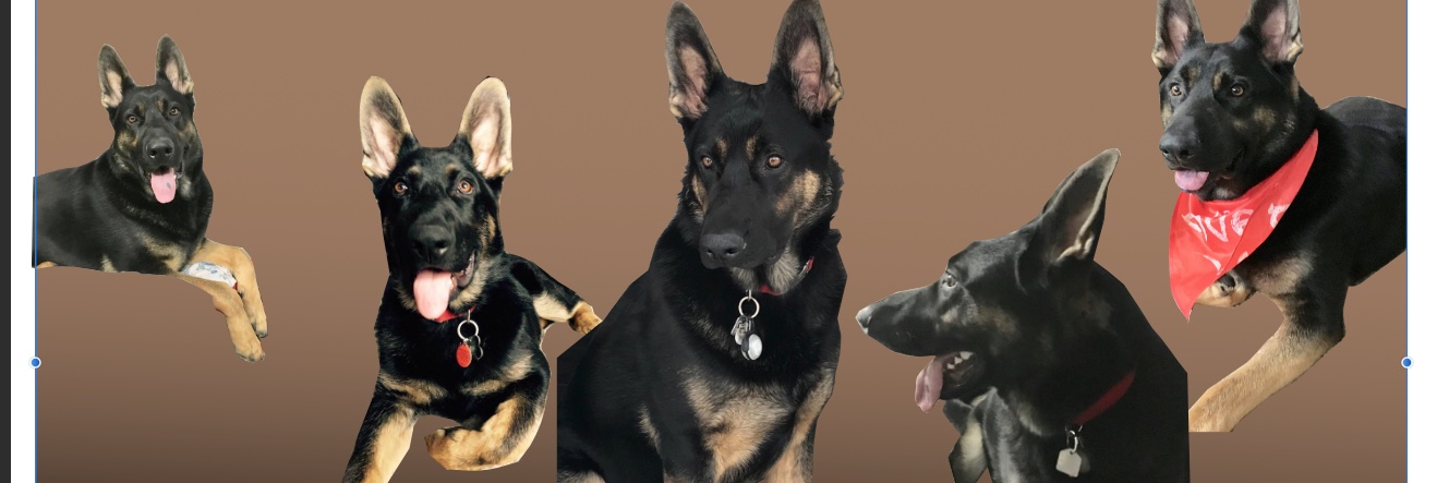eFaction_Times's profile banner image