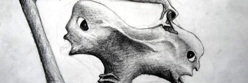 OddInflatable48's profile banner image