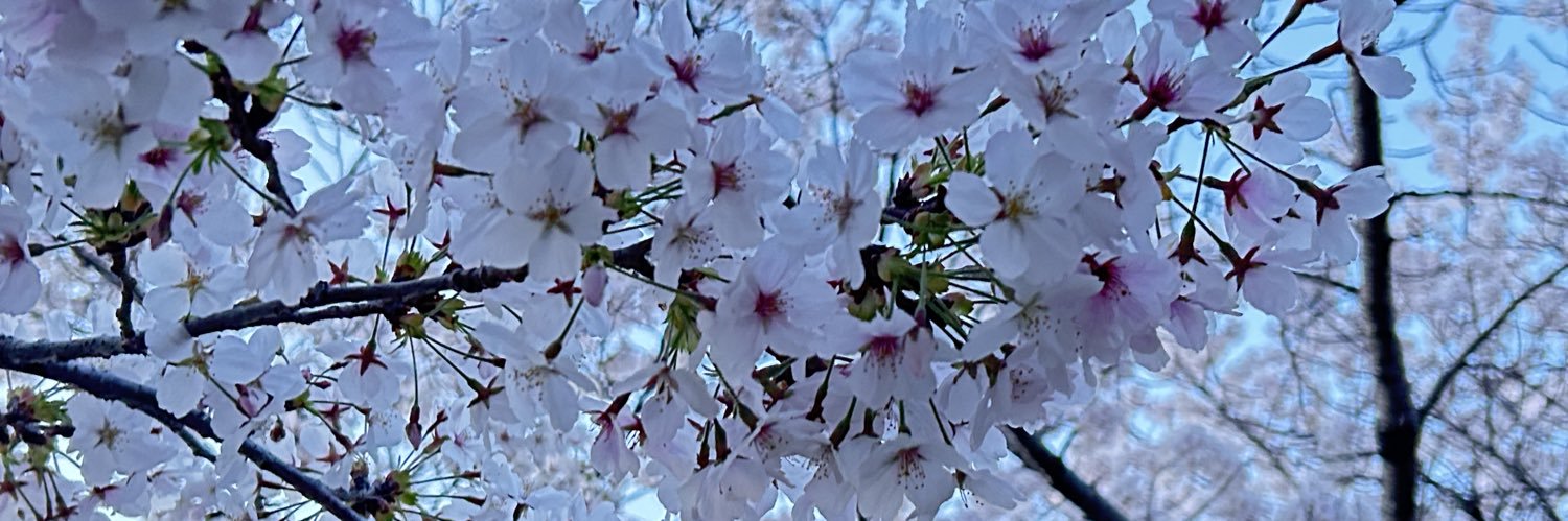 __ma_____ru__'s profile banner image