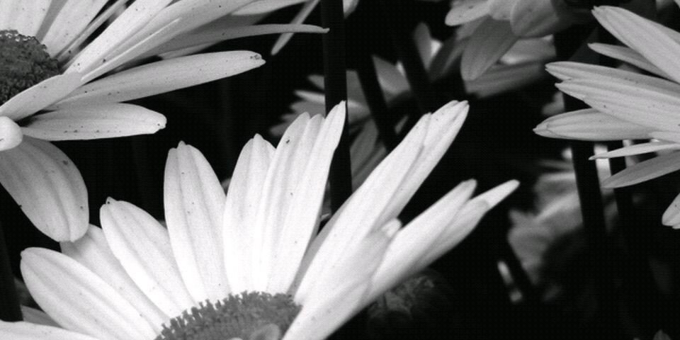 kerl_05's profile banner image