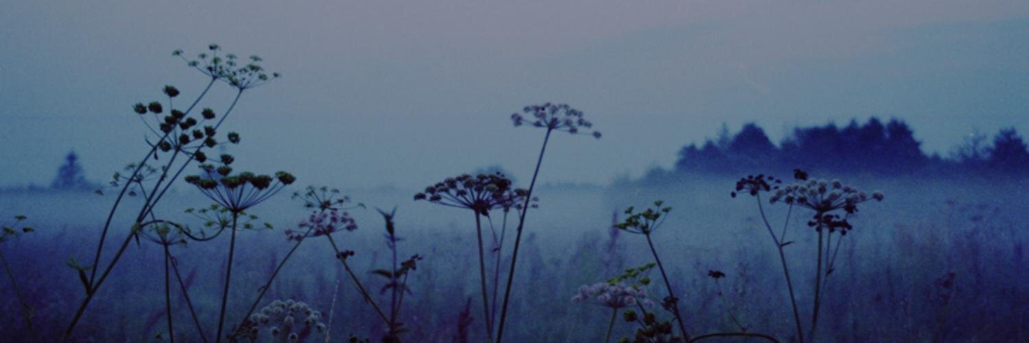 petrihor's profile banner image