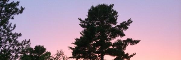 munsongs Profile Banner