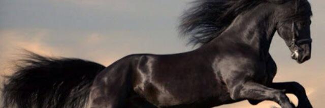 juanchoderancho's profile banner image