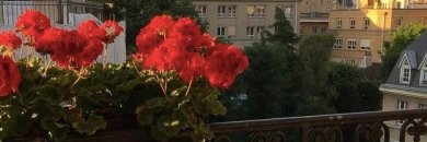 tenderpromises's profile banner image