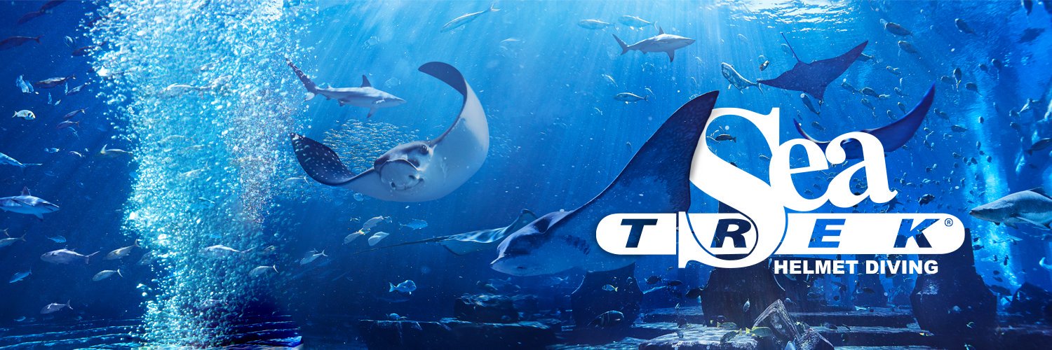 sea_trek's profile banner image