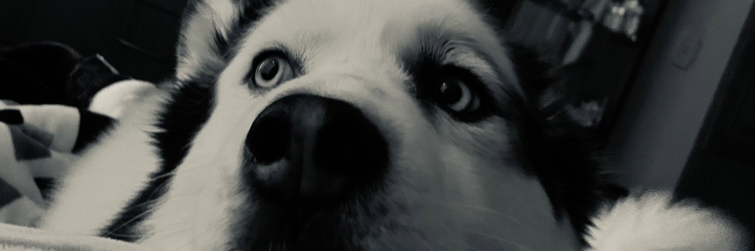 vvdk93's profile banner image
