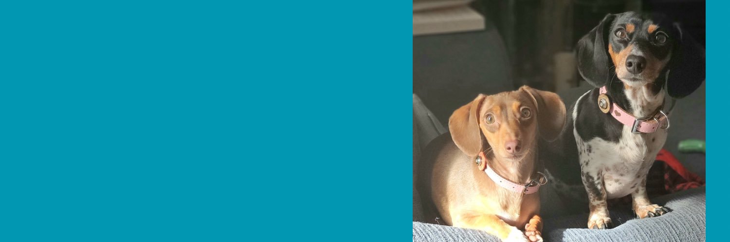 csutherland76's profile banner image