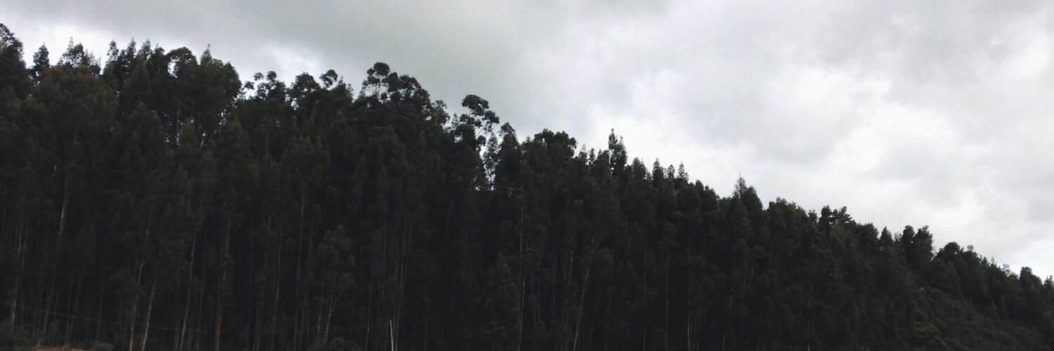 hrojas57's profile banner image