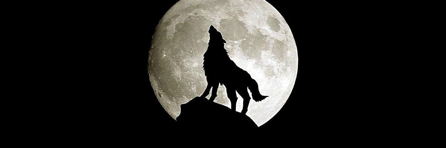 maurox25862000's profile banner image