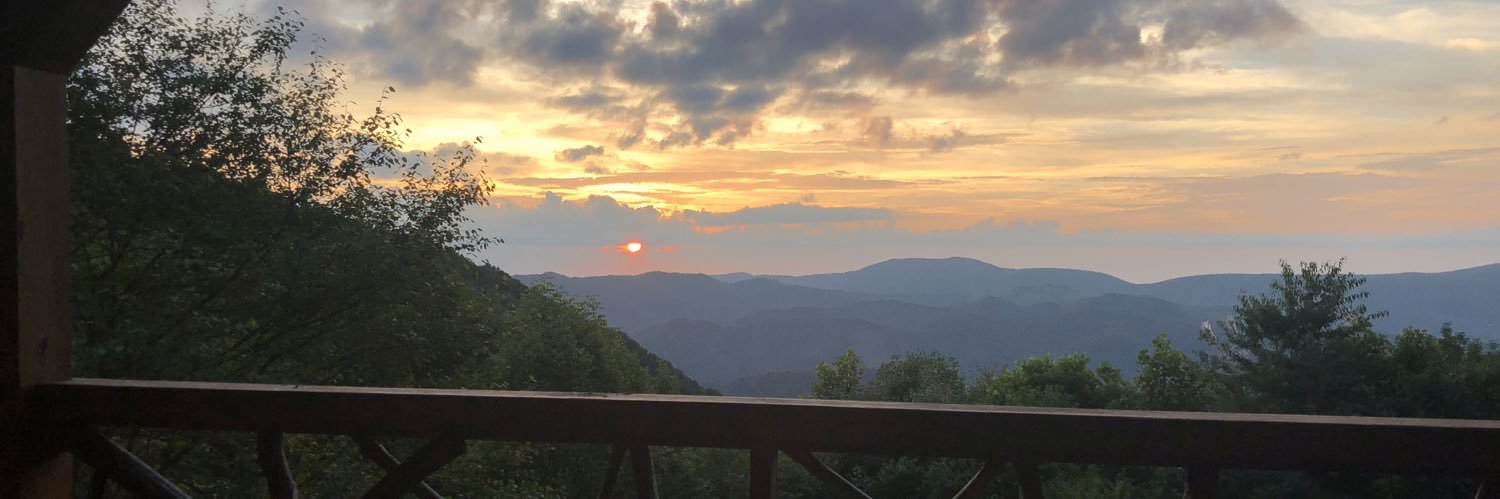 Heather Wasser banner