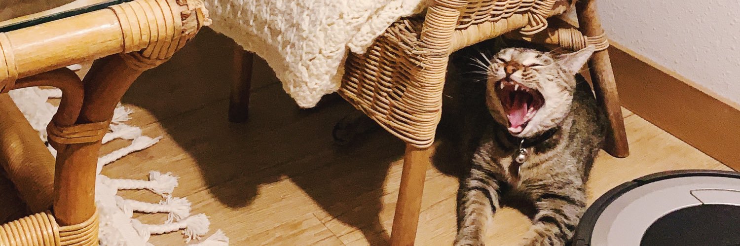 JessSlaughter_'s profile banner image