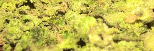 andrewsmith3372's profile banner image