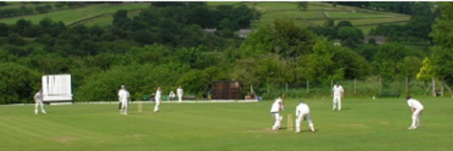 Arden Sunday Cricket banner