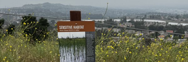 sensitivepotat8 Profile Banner