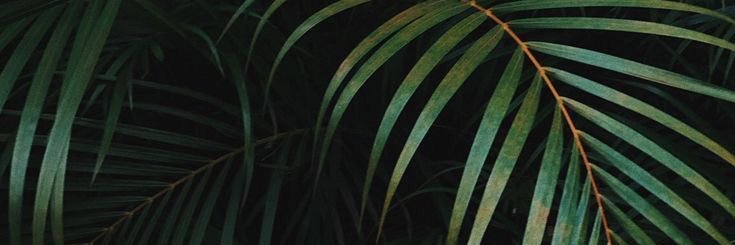 Eseoghene. banner