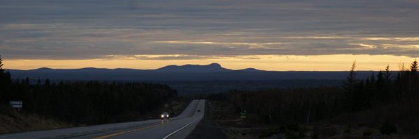 Ryan Cooke Profile Banner