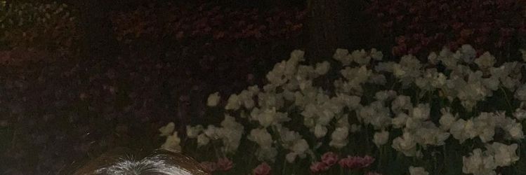 phinataa's profile banner image