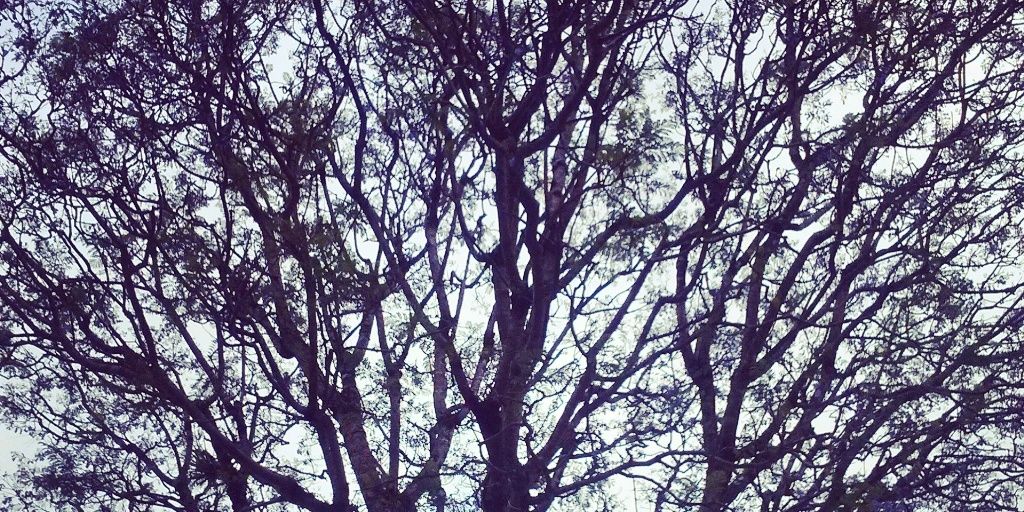 EvaPrisc1673's profile banner image