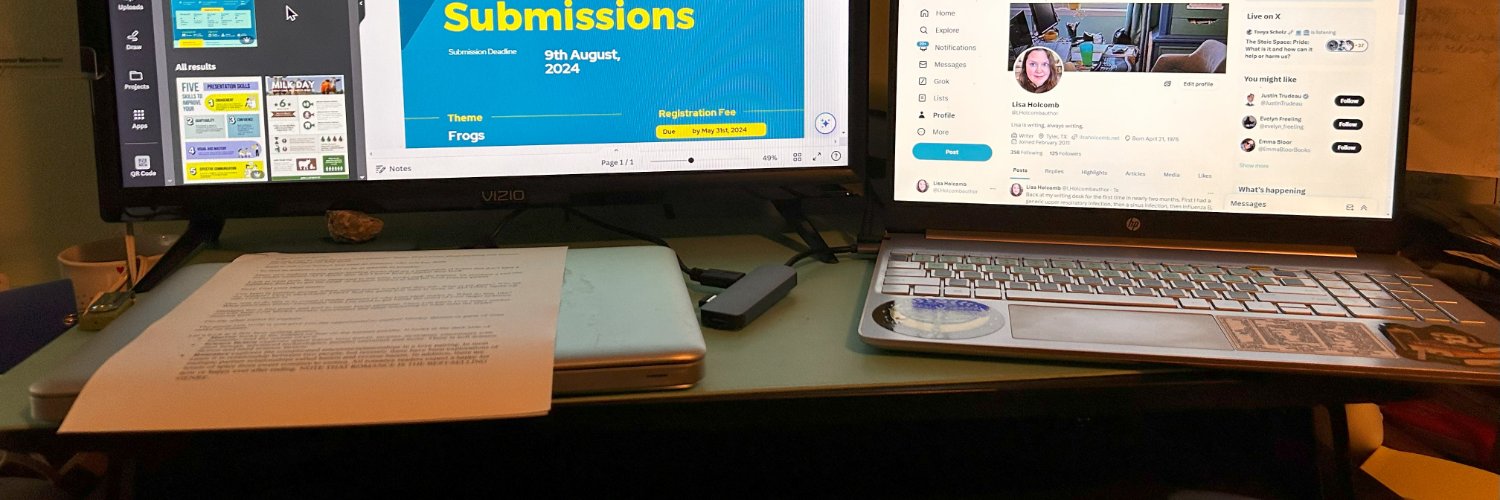 LHolcombauthor's profile banner image