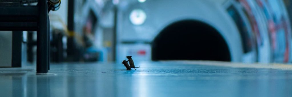granta_clauss's profile banner image