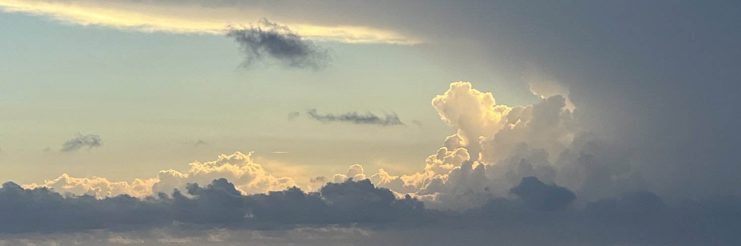 jillebean96's profile banner image