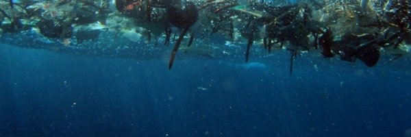 icarusfactor Profile Banner