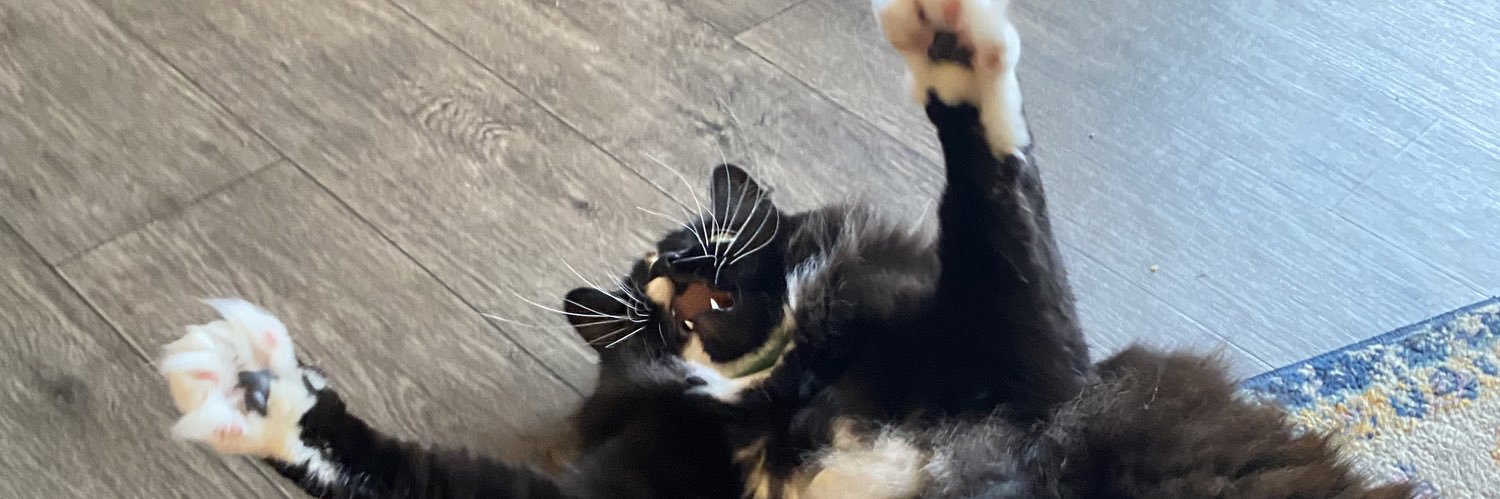 nikkiinator's profile banner image