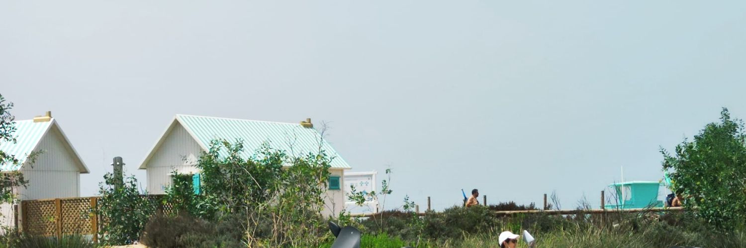 mundomapi's profile banner image