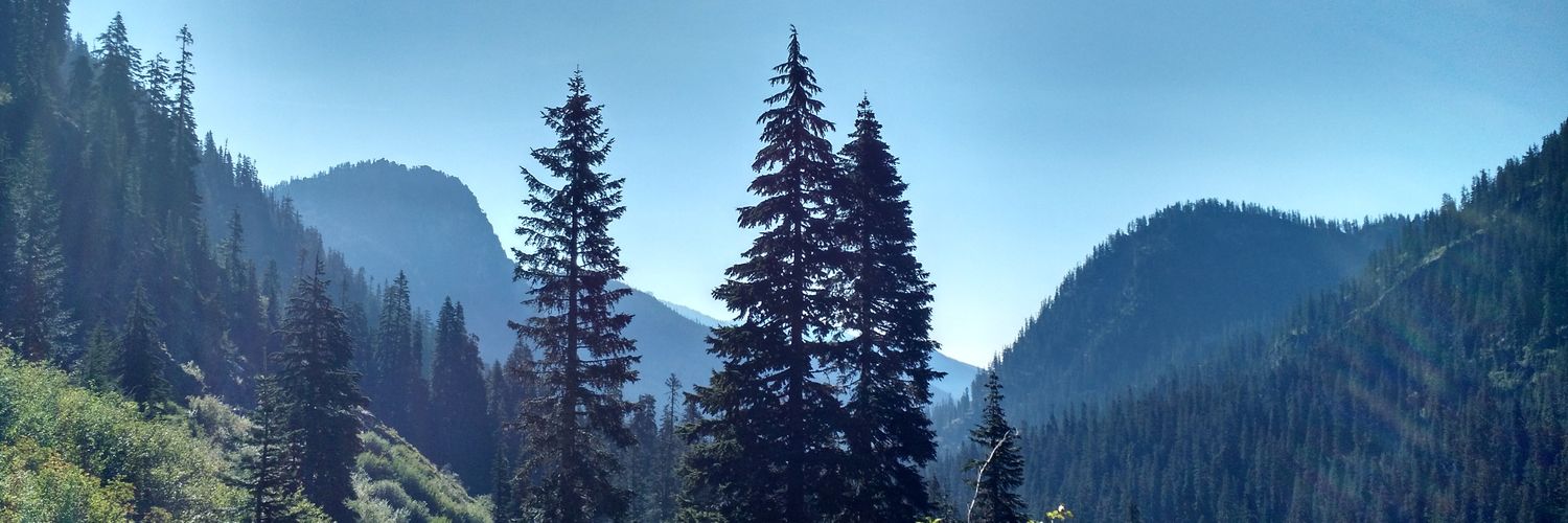 andreajlam's profile banner image