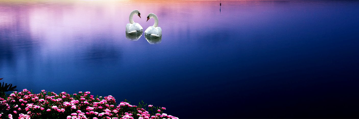 david| ETHGas ⛽ banner