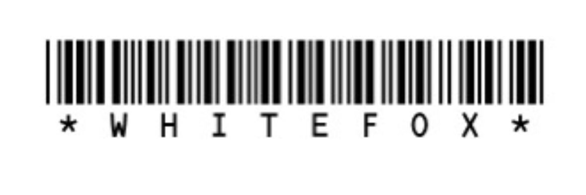 白狐 banner