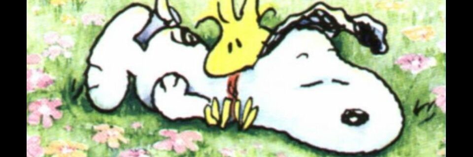 Anasidemayorga's profile banner image