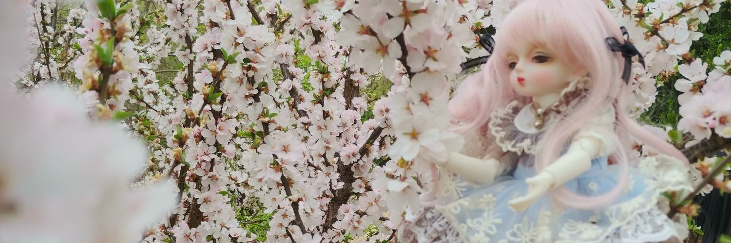 WinterQuartette's profile banner image