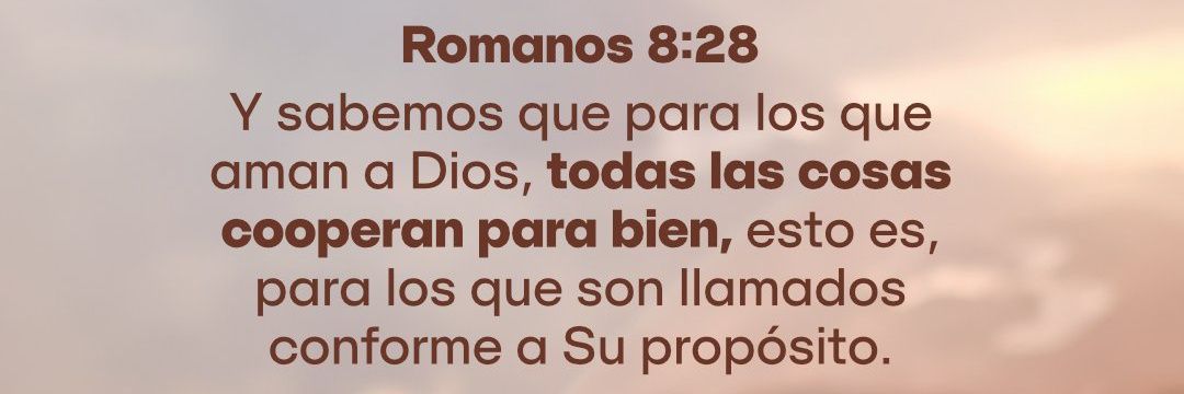 Rossanita Cañete.- banner