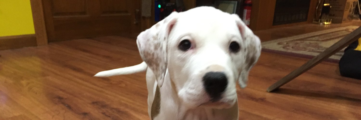 ReallySharpAxe's profile banner image
