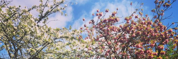 KamalaNair Profile Banner