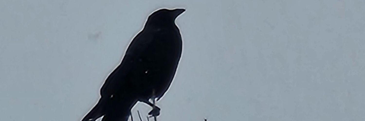 bkjay101's profile banner image